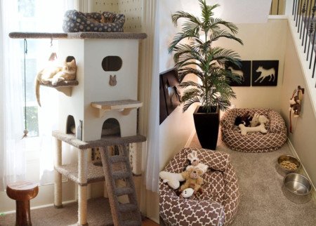🏠 Cómo Preparar Tu Casa para una Nueva Mascota