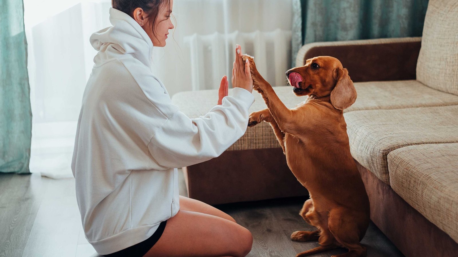 🐶 Lenguaje Corporal Canino: Qué Significa Cada Gesto