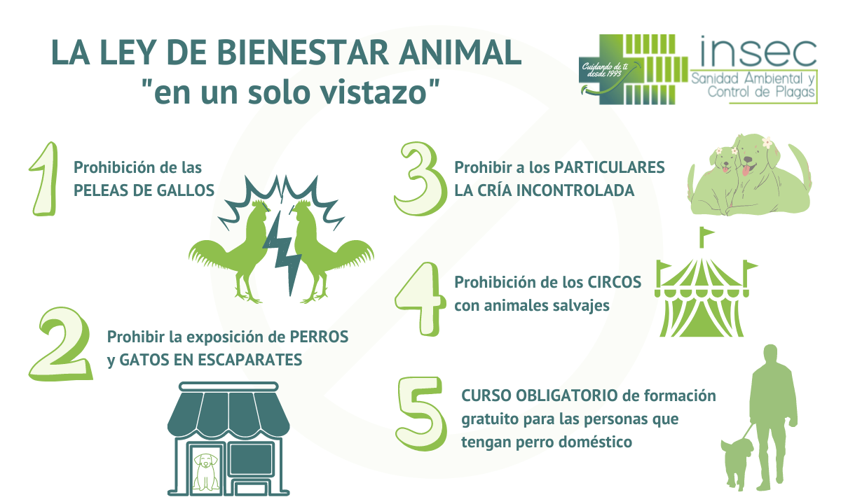 ⚖️ Claves de la Nueva Ley de Bienestar Animal en España
