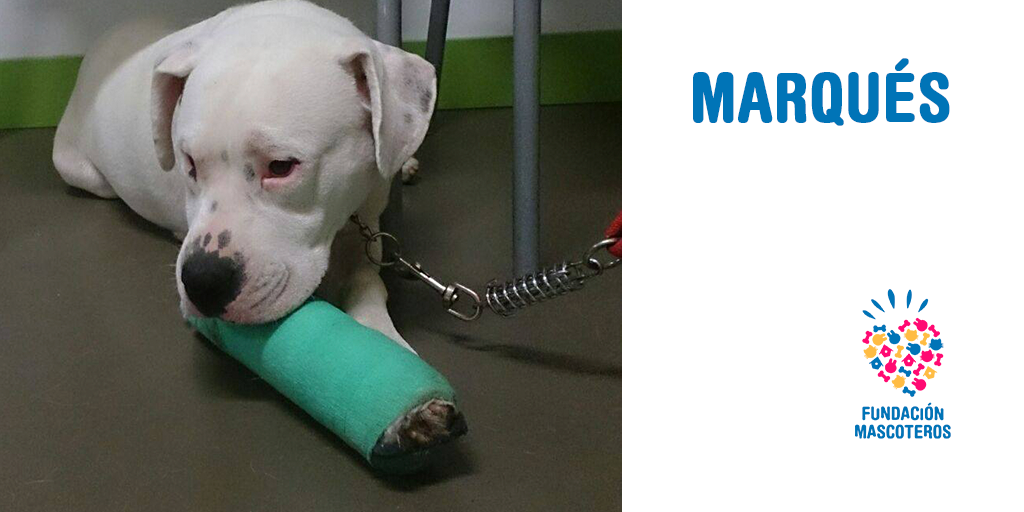 Marqués