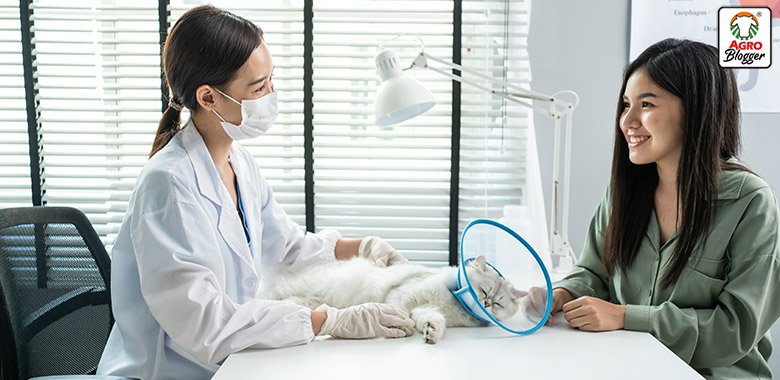 🏥🐾 Cómo Elegir una Buena Clínica Veterinaria