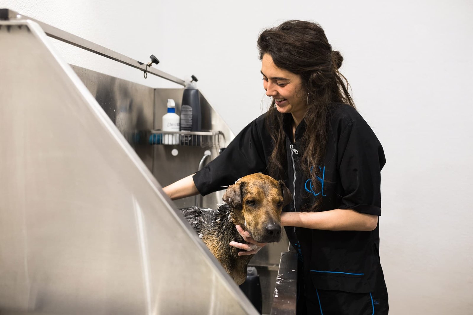 🐾 Peluquerías Caninas en Madrid que Cuidan el Bienestar Animal