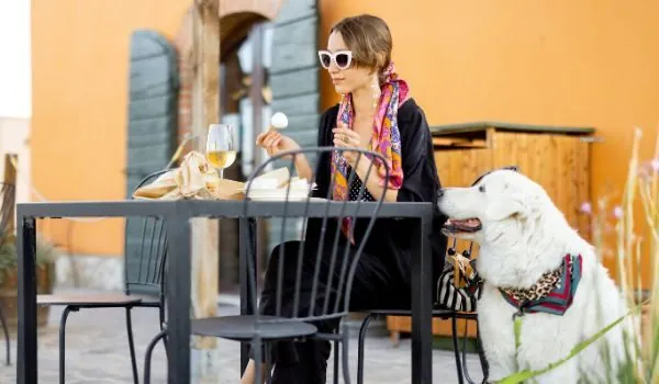 📝Restaurantes donde tu mascota es bienvenida