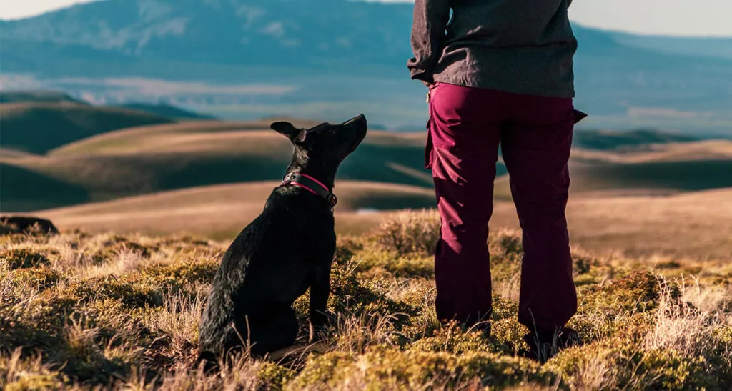🐕 Las mejores rutas de senderismo para ir con tu perro